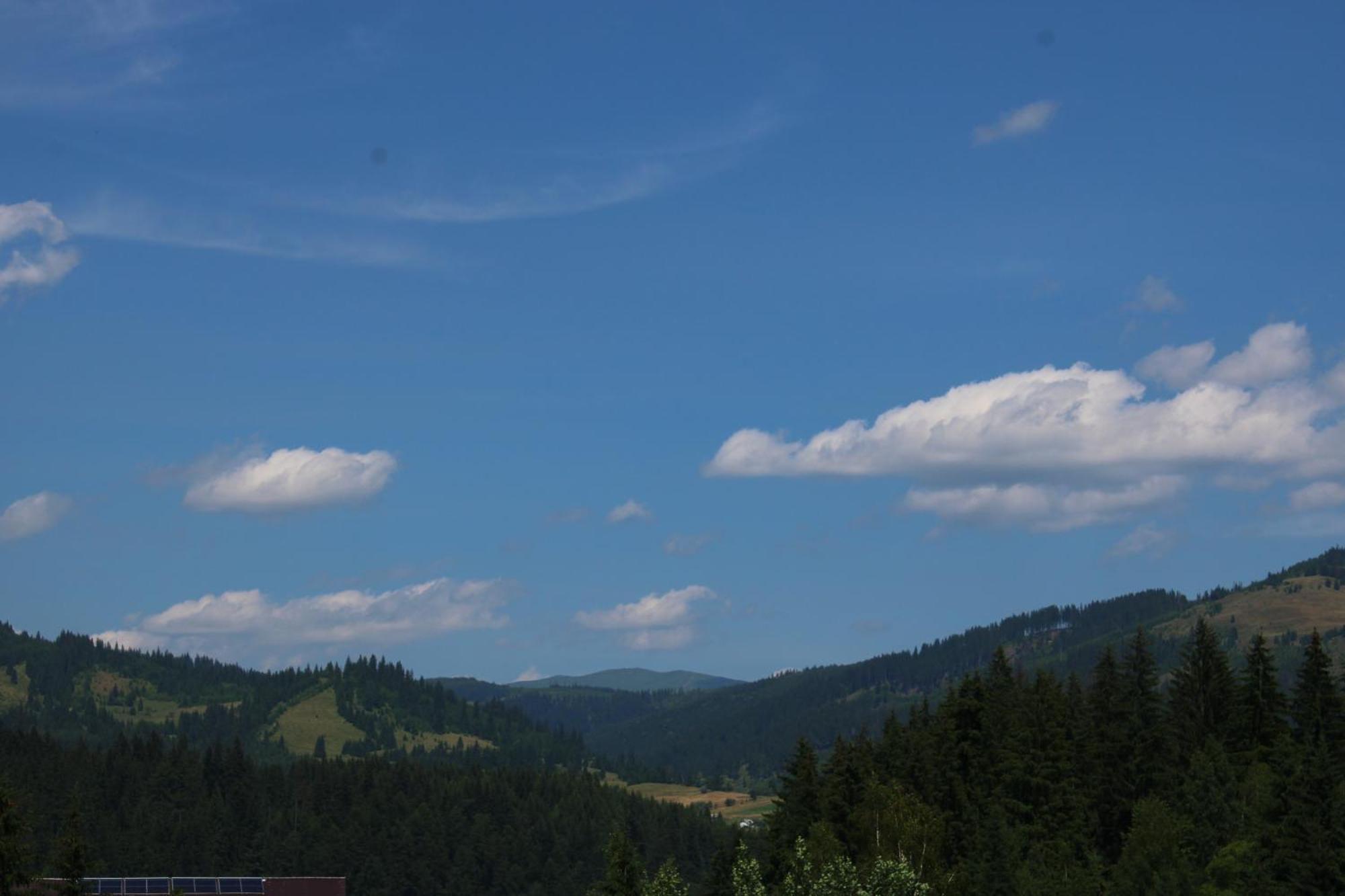 Pensiunea Negresti Vatra Dornei Exterior foto